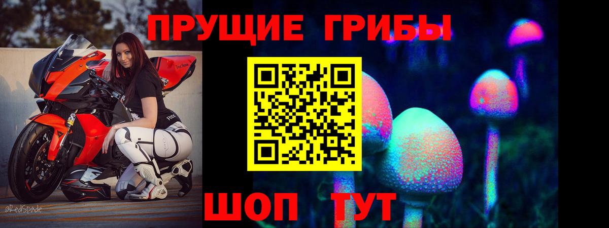Галлюциногенные грибы Psilocybine cubensis  Вход с VPN  Ангарск 