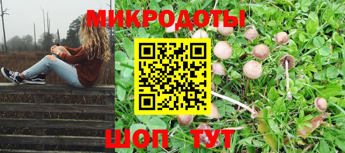 Галлюциногенные грибы мухоморы Ангарск